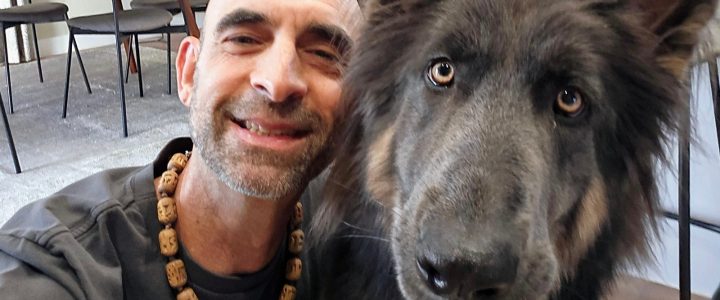 O Dilema do Prato Alheio: Ahimsa e a Alimentação dos Nossos Pets